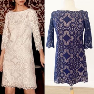 Eliza J Navy Blue Lace Overlay Mini Cocktail Dress | 4P